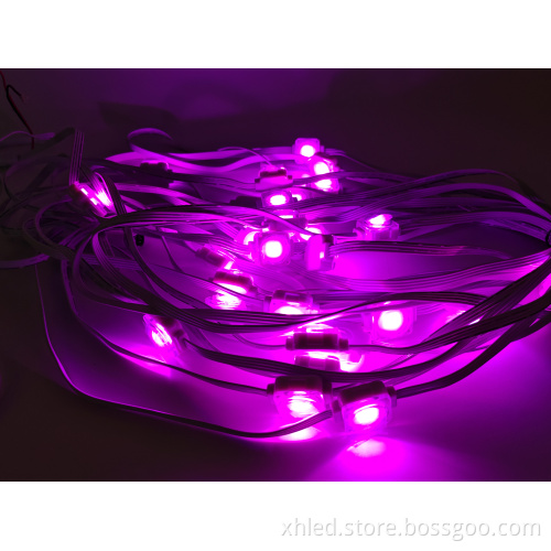 Outdoor Holiday LED Point Lights for Christmas Decorations